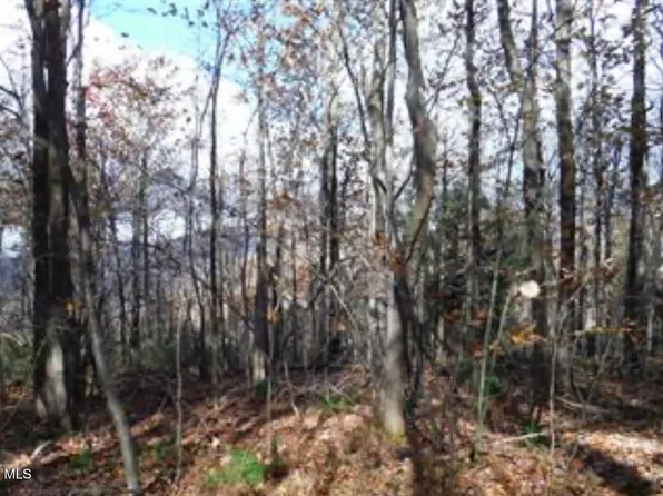 0 Poplar Run Rd, Claysburg, PA 16625