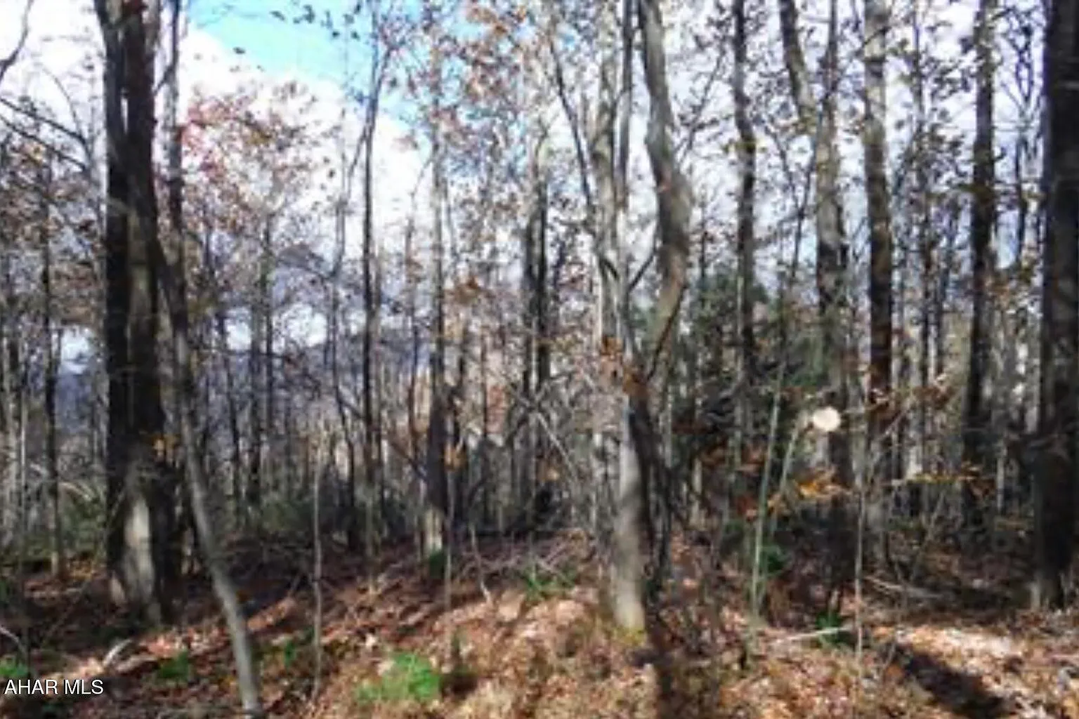 0 Poplar Run Rd photo 1