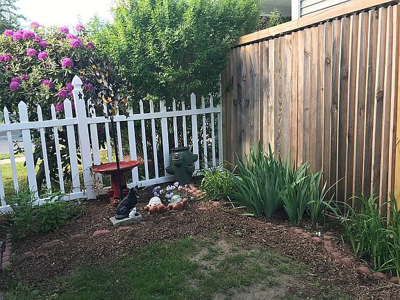 Back yard -near front