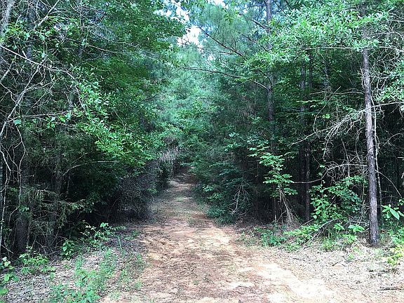 4th image of 3930 An County Road 312