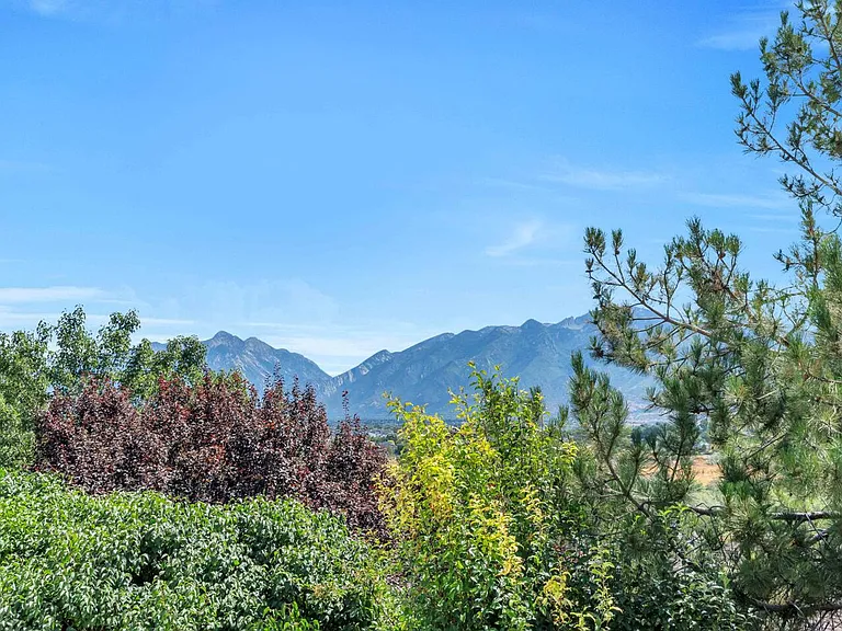 Window View
