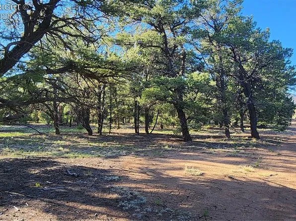 1388 11th Trl, Cotopaxi, CO 81223