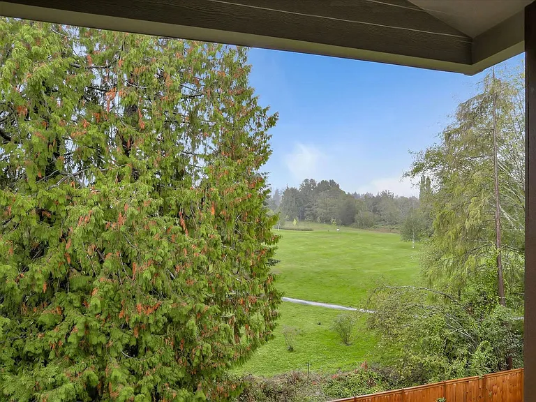 Blueberry View — Photo 12