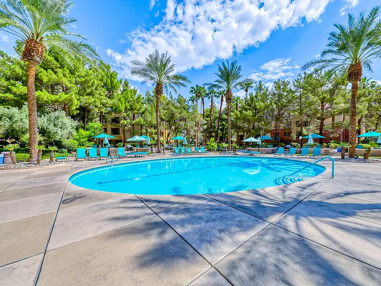 270 E Flamingo Rd #313 — Photo 25