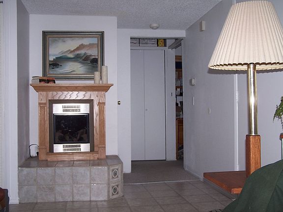 Fireplace and Entry