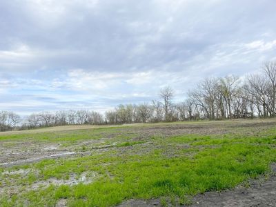0 County Road 3525, Honey Grove, TX, 75446