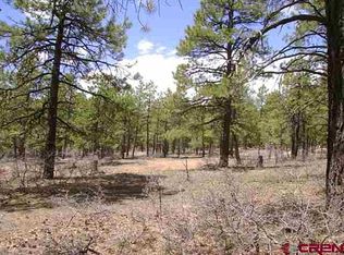 300 Bellflower Rd, Bayfield, CO 81122