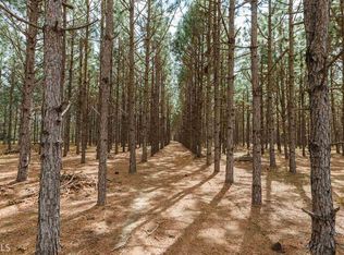 0 Holland Rd, Register, GA 30452