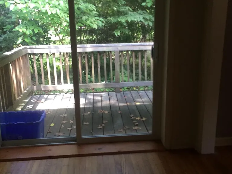 view off of dining room