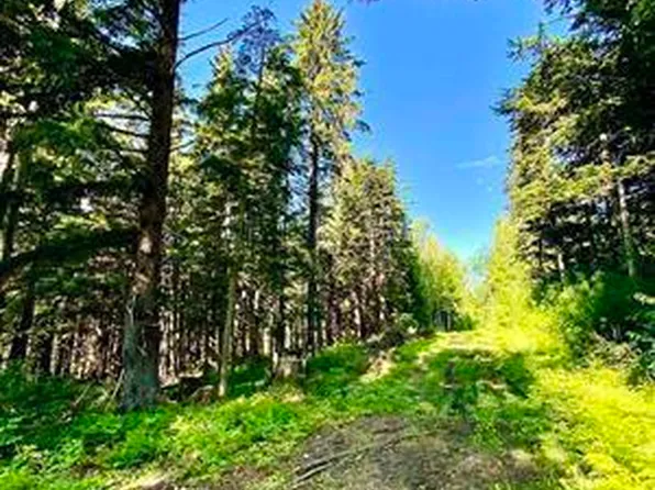 LOT Orchard Subdivision #A, Haines, AK 99827