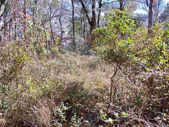 5th image of 159 Holly Trl