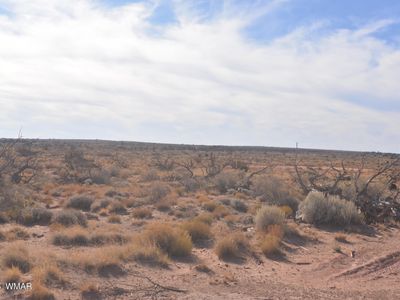 8224 Charolais Trl, Snowflake, AZ, 85937