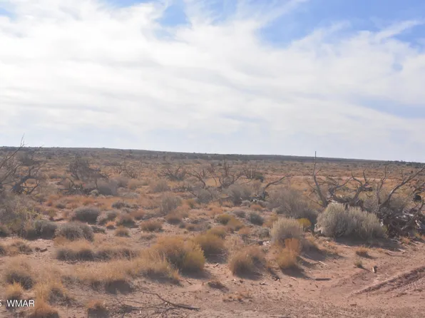 8224 Charolais Trl, Snowflake, AZ 85937