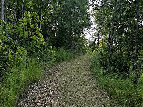 3rd image of 9211 Tripp Road