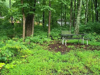 Inca Rd, Linden, VA, 22642