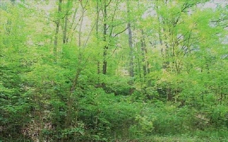 1st image of 0 S Rogers Rd Lot Po-2