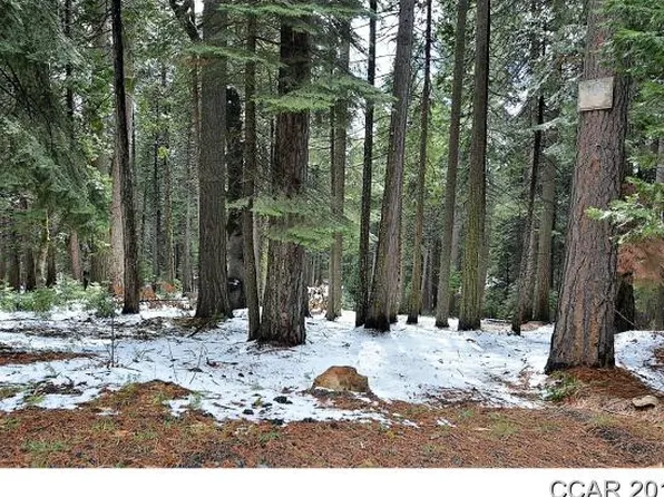 981 Hiawatha Way, Arnold, CA 95223