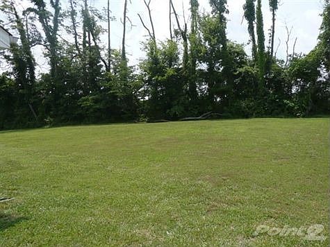 P1010030