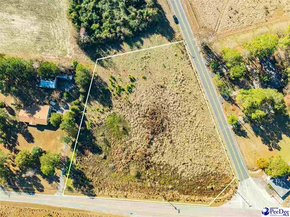 2.34 Acres Hwy #57, Pamplico, SC 29583