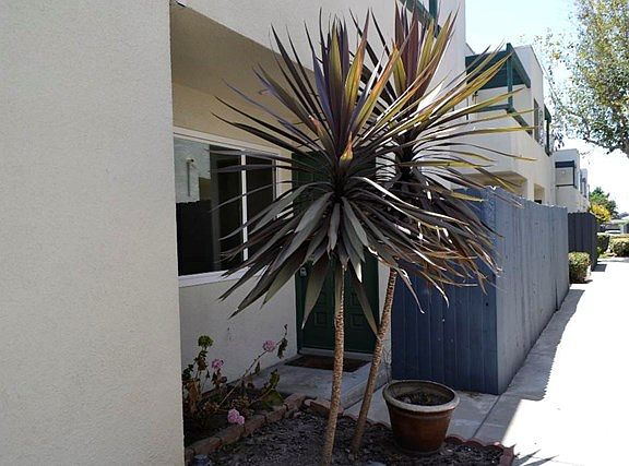 2nd image of 20290 E Arrow Hwy APT C