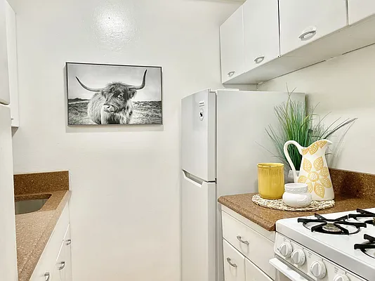 Sold by Red Jacket Residential | media 26