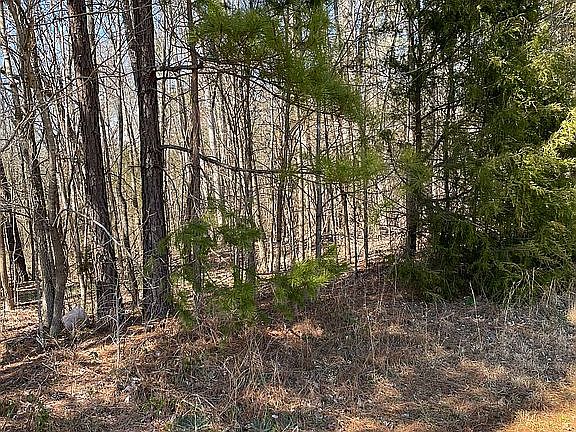 3rd image of 570 Lochshire Ln