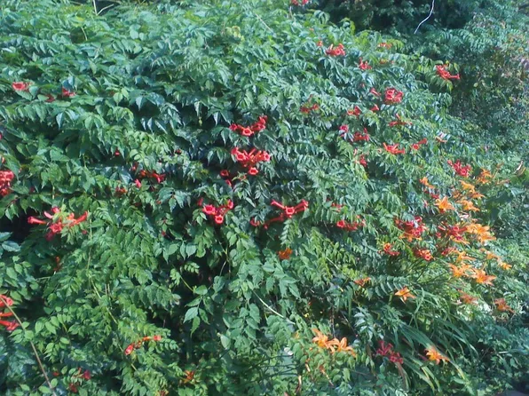 1926 Chestnut Ct, Munster, IN 46321