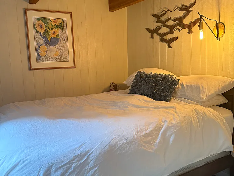 the bedroom with queen bed
