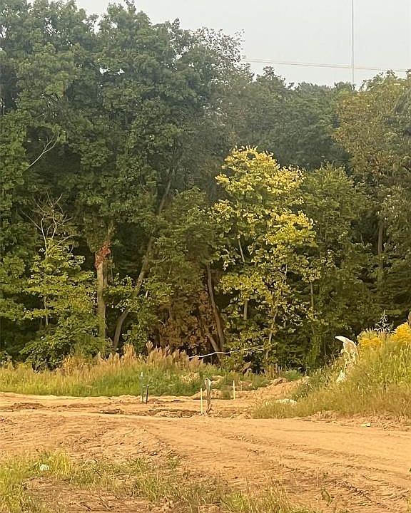 2nd image of 5679 Walnut Ridge Dr