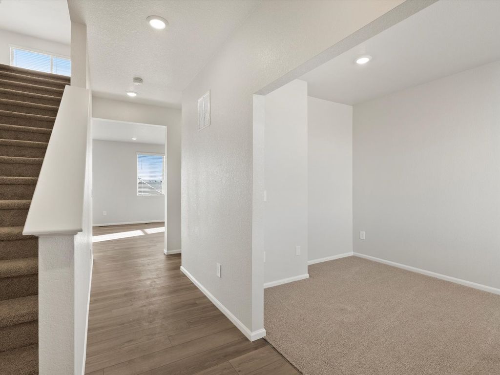 1230 Spring Creek Dr