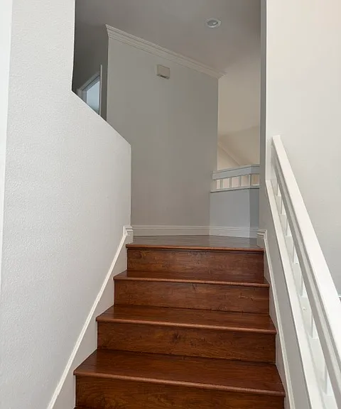 5 Bahia — Photo 33