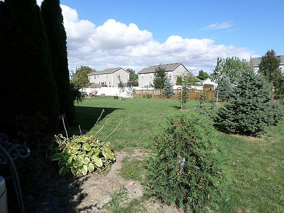 Freshly landscaped backyard