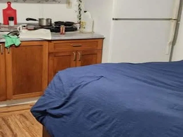 1 bed, 300 sqft, $1,000 — Photo 3