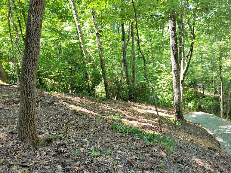 12 Midships Ln — Photo 45
