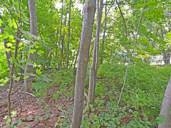 4th image of 12 Lamothe Avenue