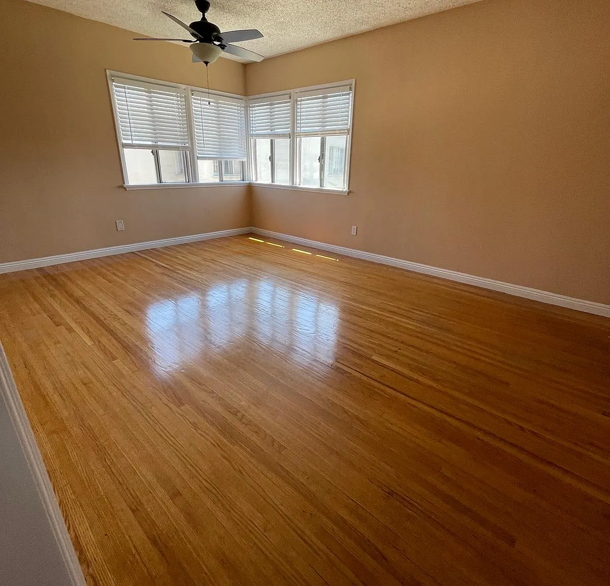2 bed, 765 sqft, $2,300 — Photo 1