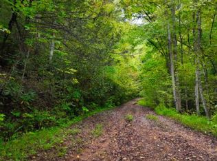 W Tanbark Trl, Cosby, TN 37722