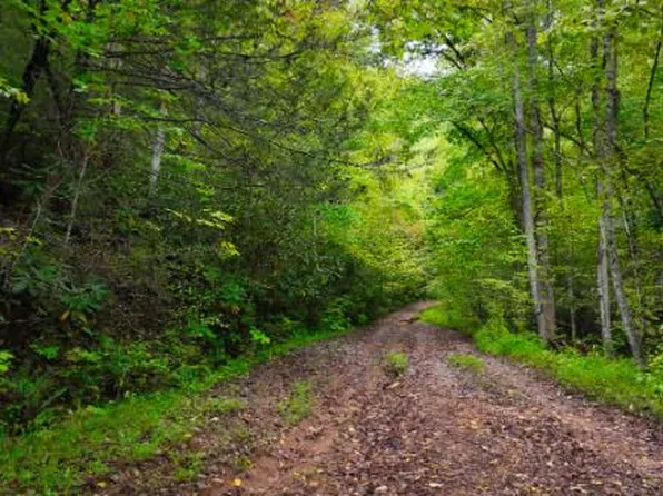 W Tanbark Trl, Cosby, TN 37722