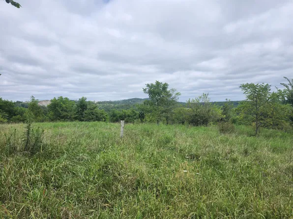 2073 Stone Ridge Drive Drive, Mountain Grove, MO 65711