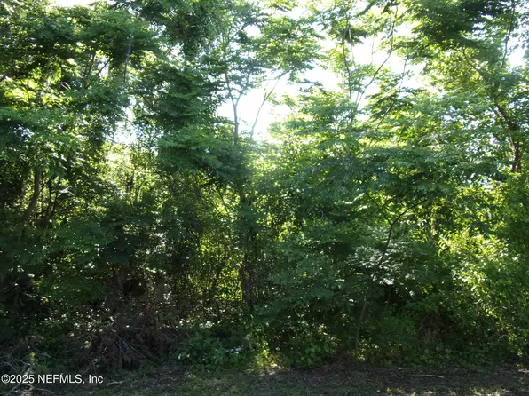 000 EDGEMOOR Trail, Palatka, FL 32177