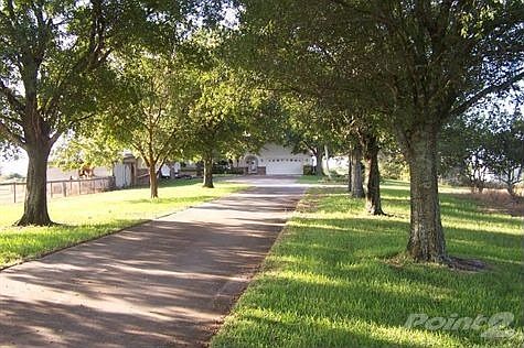 Oak Tree Lined Driveway