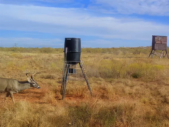 Fm 600, Haskell, TX 79521