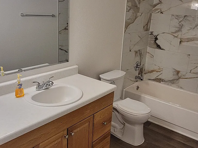 Large Primary bath
