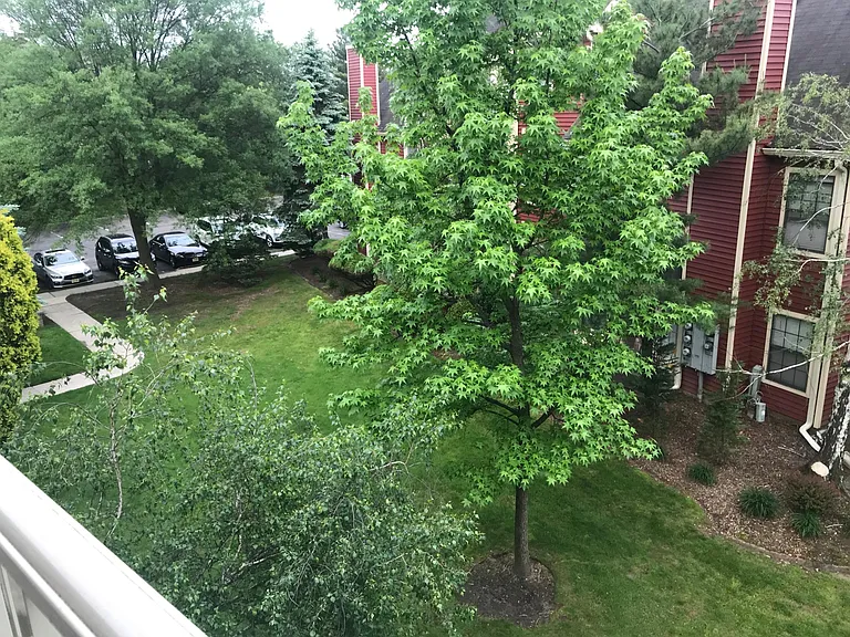 Patio View 2