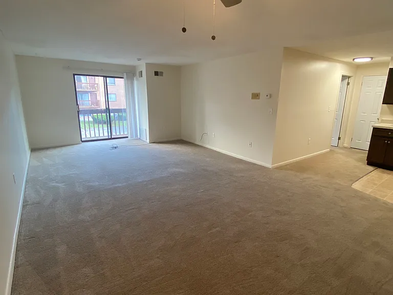 1217 Harbor View Dr #1217 — Photo 11