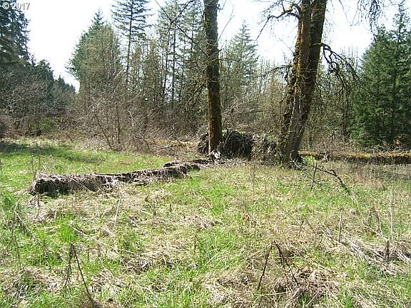 3rd image of 61189 Nehalem Hwy N