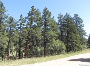 4780 Mohawk Dr, Larkspur, CO 80118