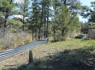 38 Wild Chives Ct LOT 102, Durango, CO 81301