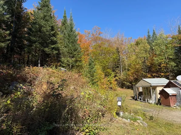 1118 Stoney Rd, Ryerson, ON P0A 1C0