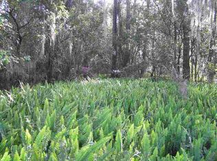 105 Register Burrell Rd, Hastings, FL 32145